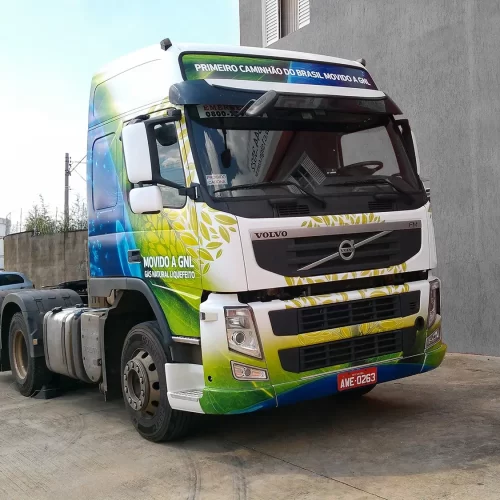 Caminhão Personalizado